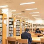 🌿36歳日曜日の境界線：タツコの図書館と静かな午前のカフェ